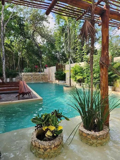 Apartment With Private Pool Tulum Chemuyil Mexico