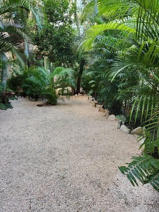 Apartment With Private Pool Tulum Chemuyil 0*,
