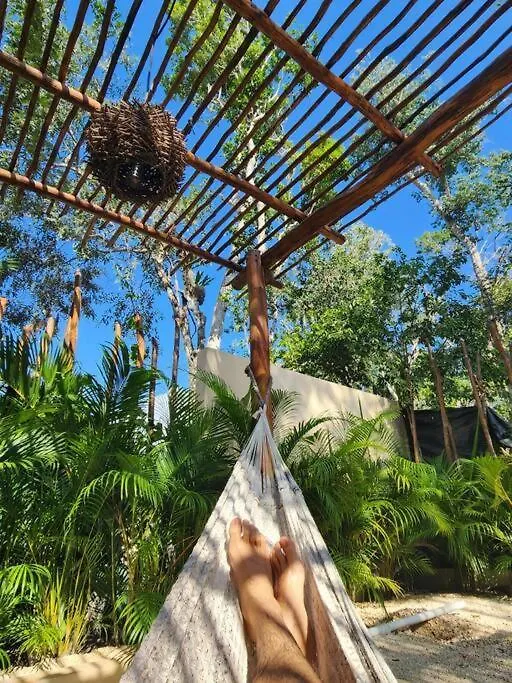 Apartment With Private Pool Tulum Chemuyil
