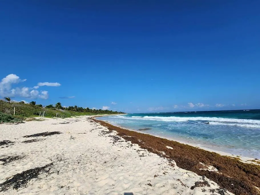 Apartment With Private Pool Tulum Chemuyil 0*,  Mexico