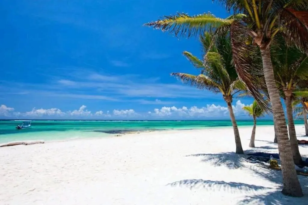 Apartment With Private Pool Tulum Chemuyil