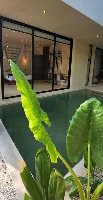 Apartment With Private Pool Tulum Chemuyil Mexico